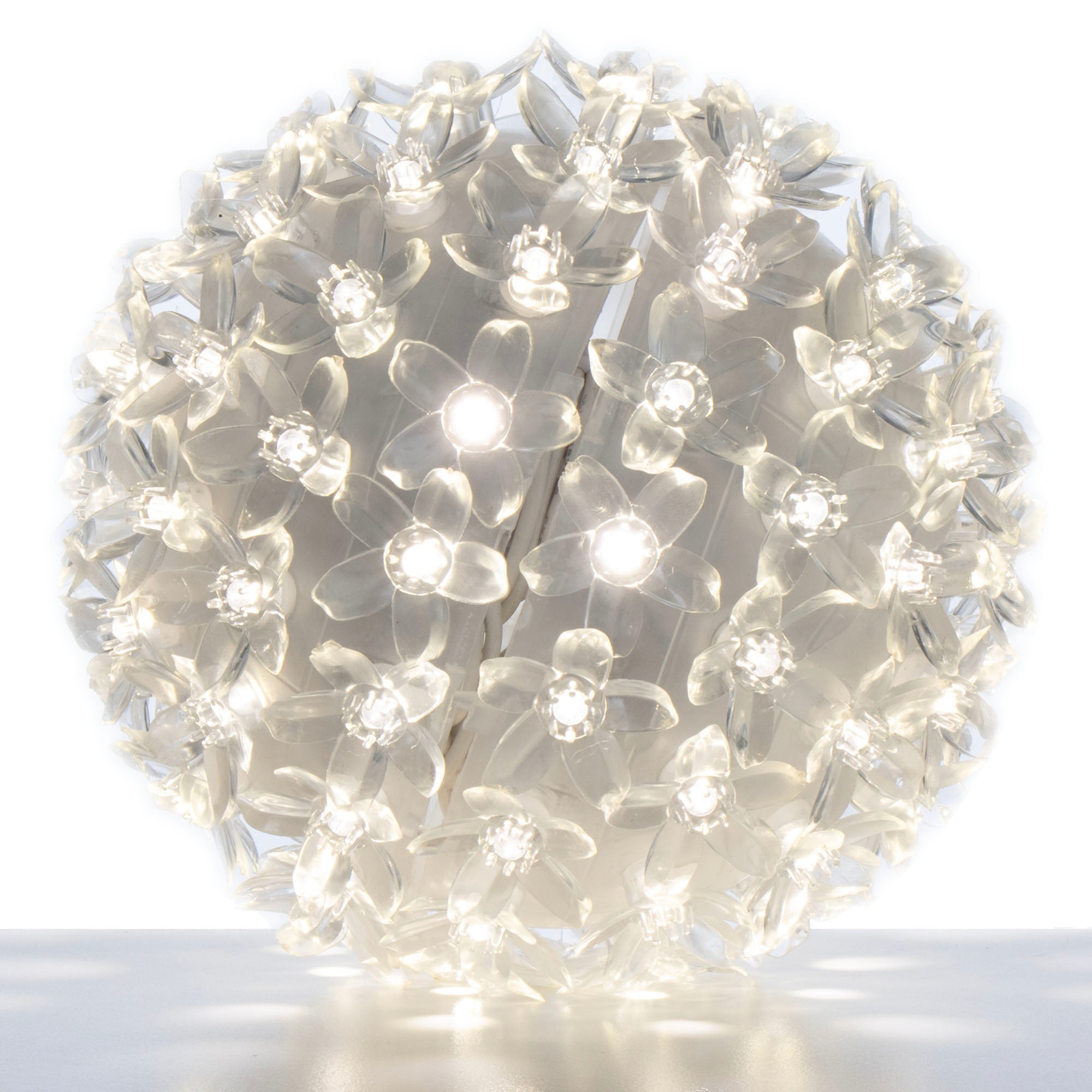 6" Globe Light