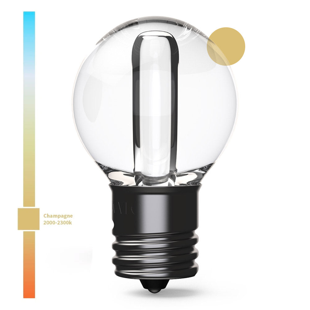 G30 Transparent SMD LED E12