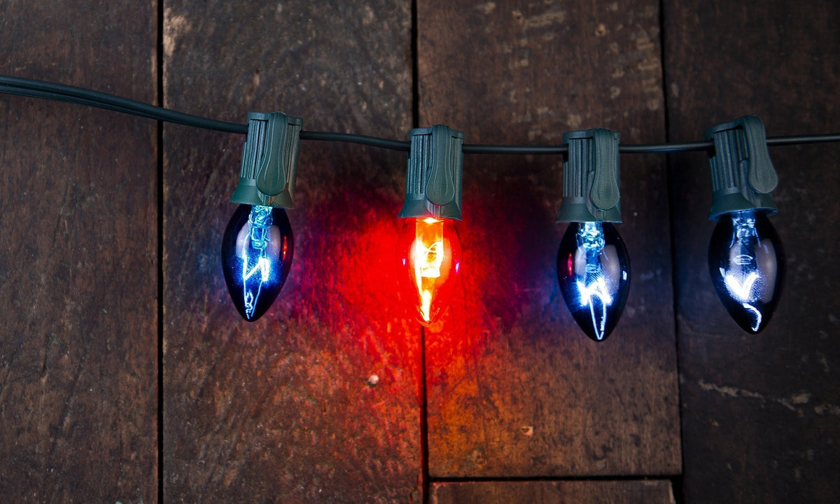 Projector Series™ Bulbs | Village Lighting Company