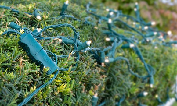 Super Mini™ Quick Pro-Plug