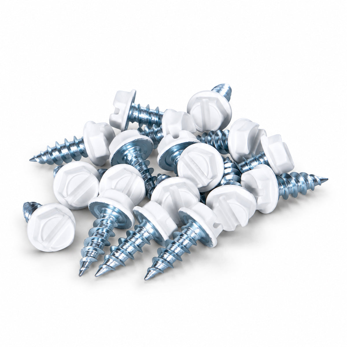 Avira Installation Screws (100 per Bag)