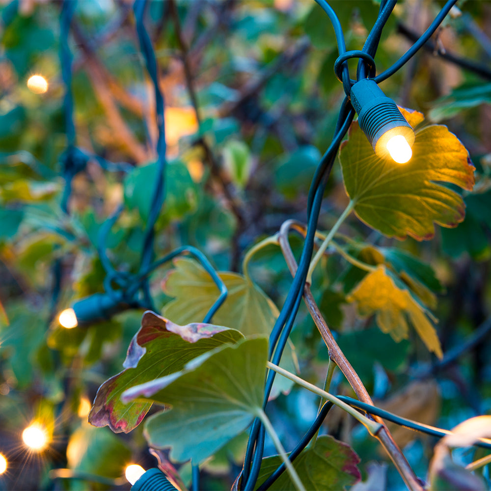 Super Mini™ LED Net Lights